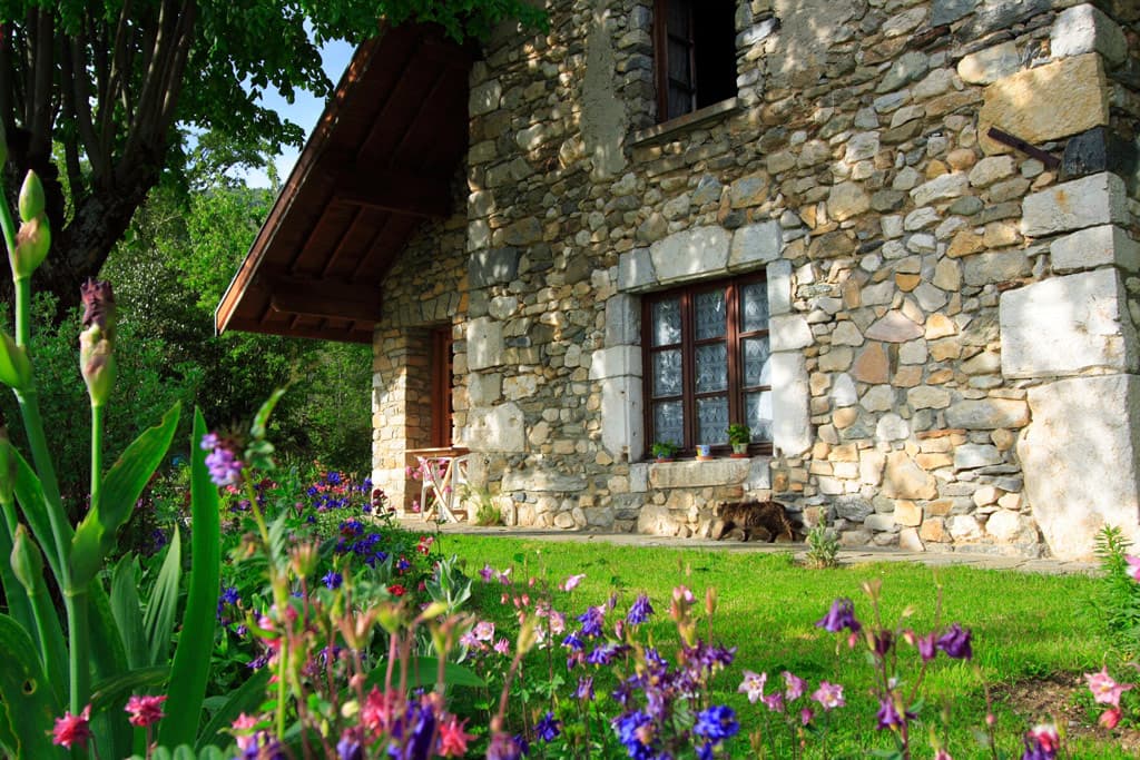 Resolvemos sus dudas sobre nuestro servicio de rehabilitaciones